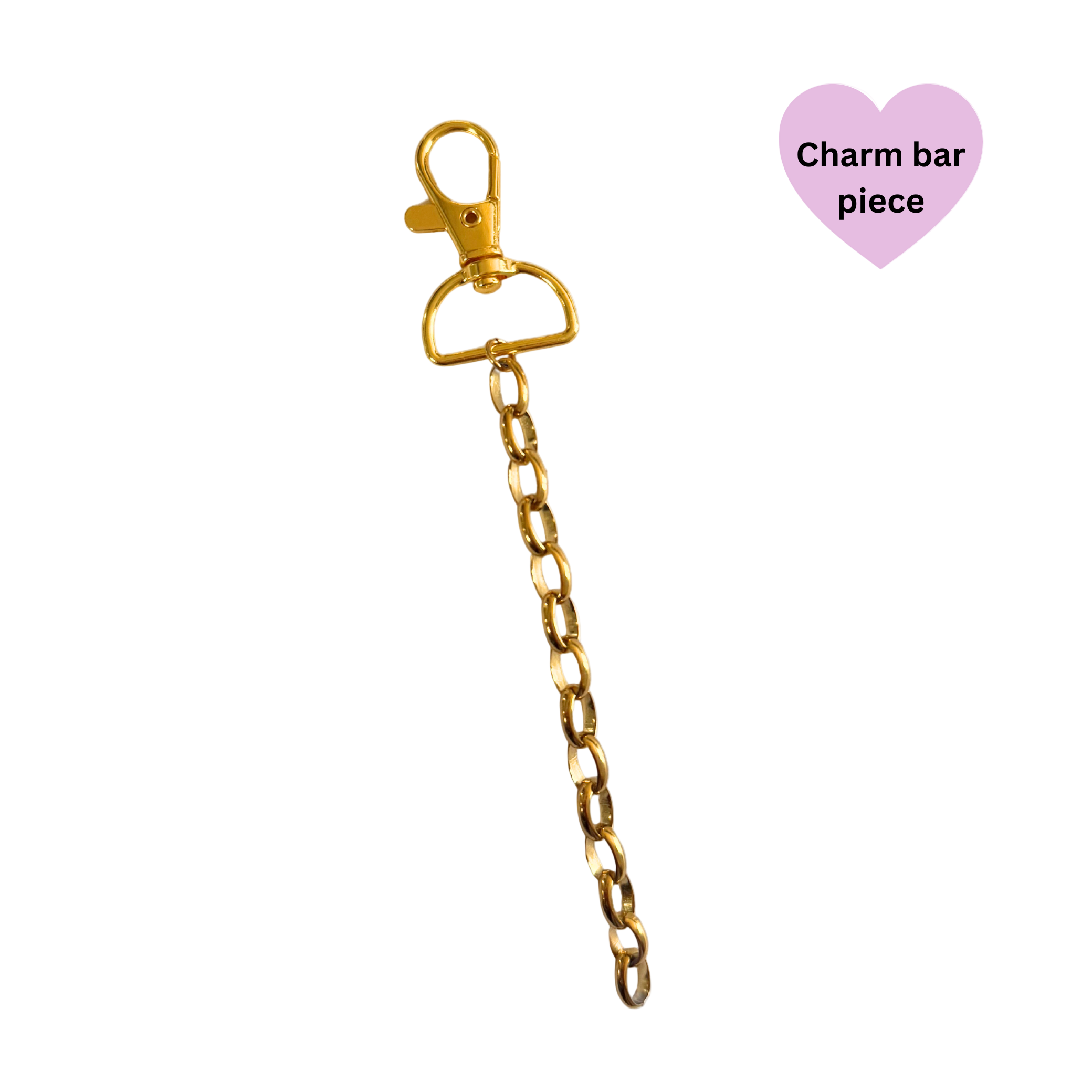 Large Link Bag Charm