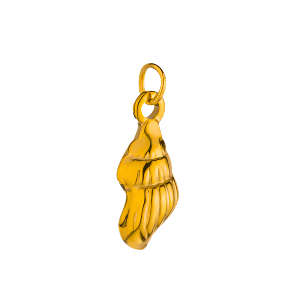 Shell Charm