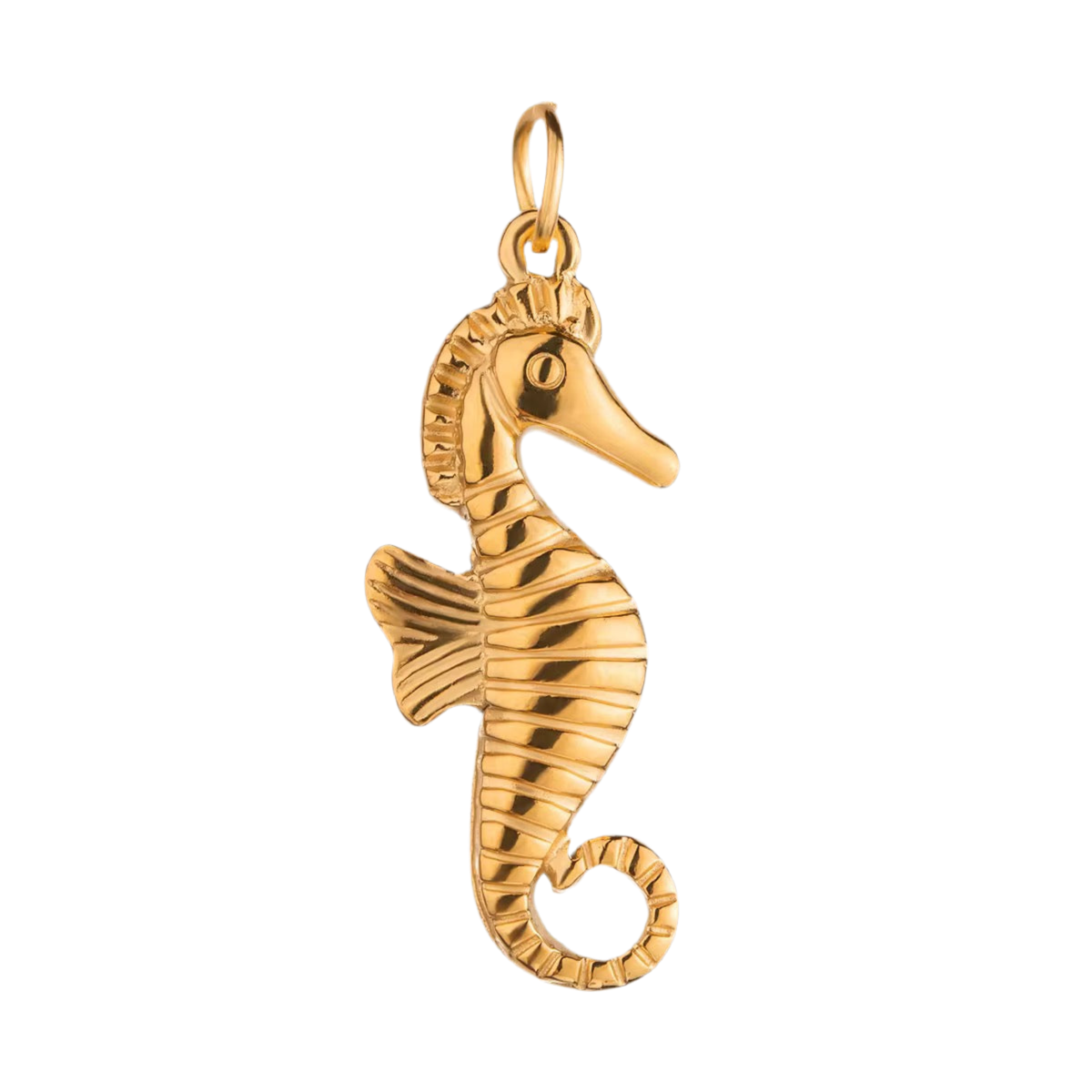 Seahorse Charm
